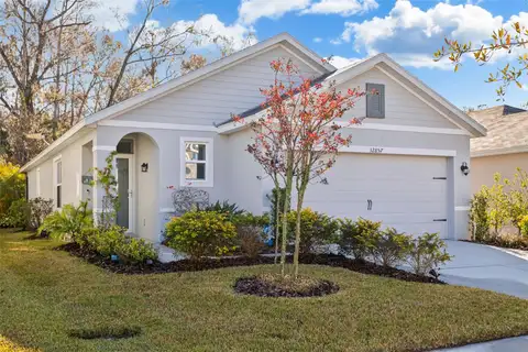 32857 BROOKS HAWK LN — home for sale