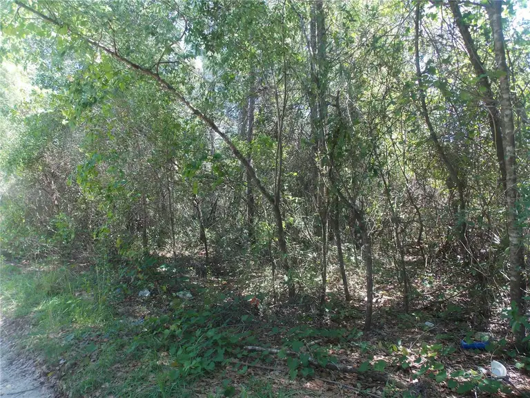 Lot 37-44 PINE ST — photo 2