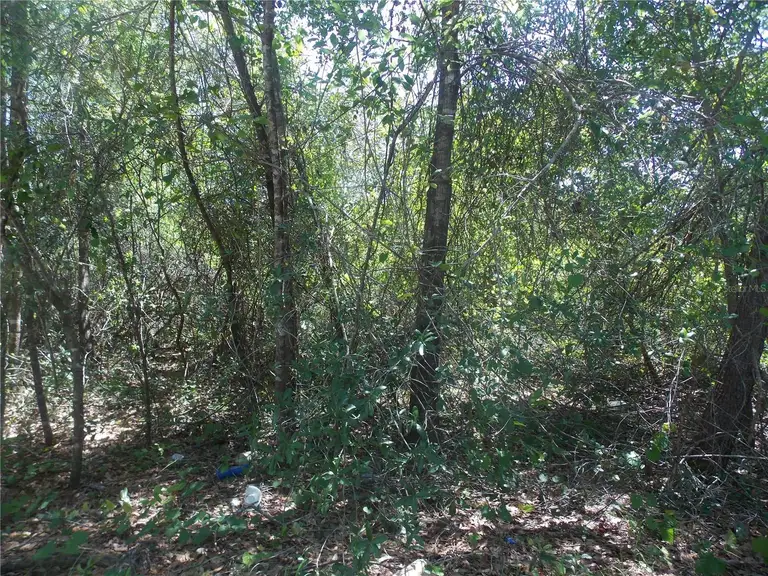 Lot 37-44 PINE ST — photo 3