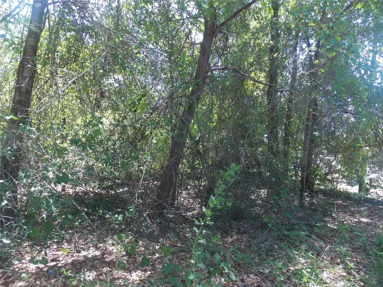 Lot 37-44 PINE ST — photo 4
