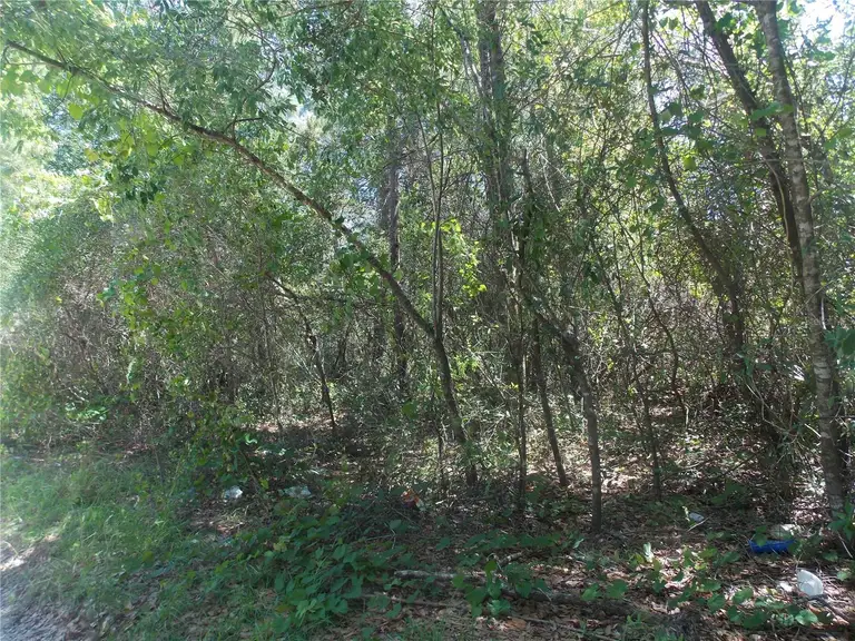 Lot 37-44 PINE ST — photo 5