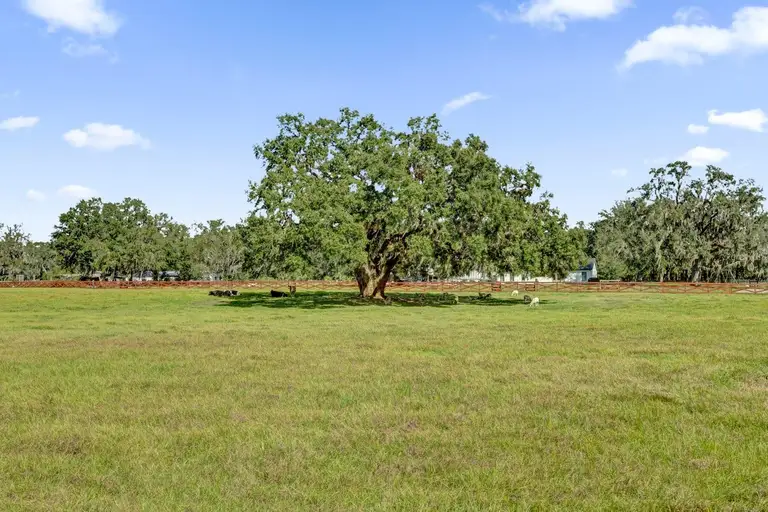 7786 COUNTY ROAD 674