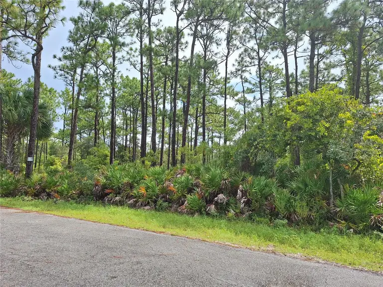 989 N RHYME PT — photo 3