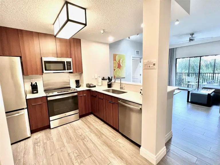 14501 GROVE RESORT AVE #2535 — photo 4