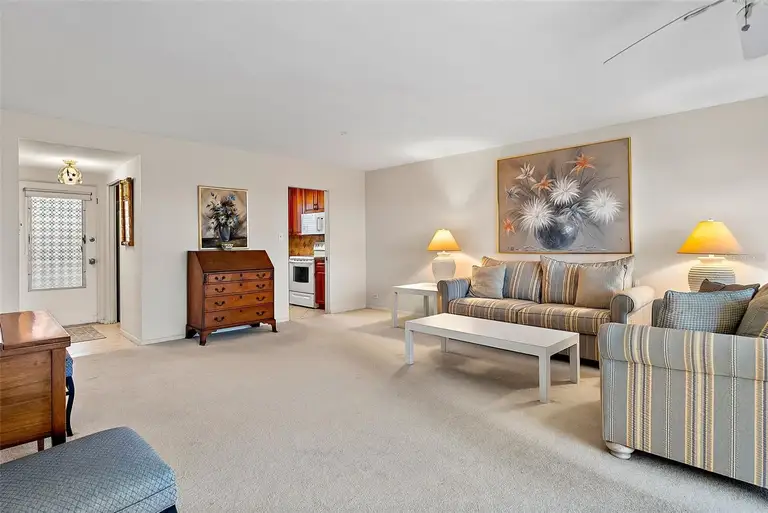 1365 SNELL ISLE BLVD NE #3B — photo 4