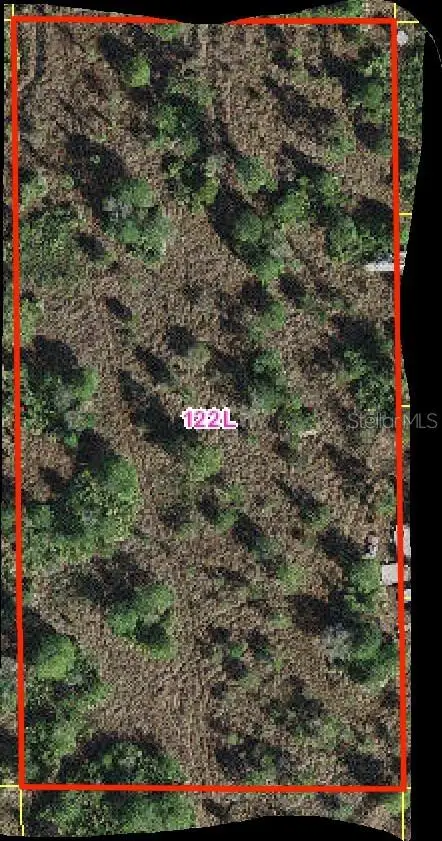 HOLOPAW GROVES RD