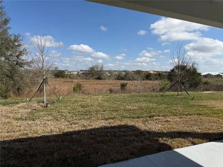31819 CARDINAL YARD DR — photo 2