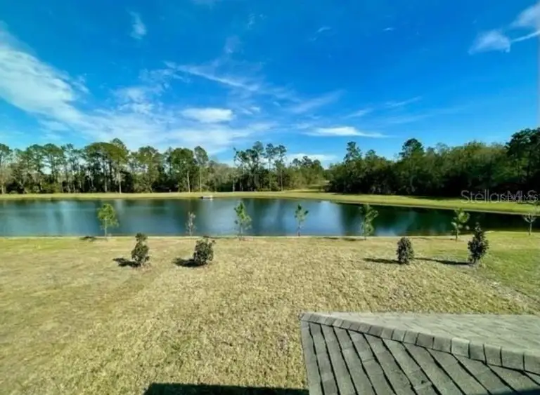 16364 WINDING PRESERVE CIR — photo 2