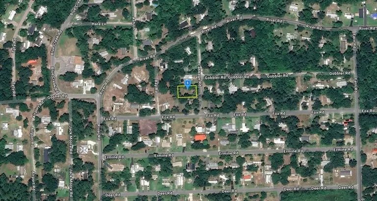 55917 CABBAGE RD — photo 2