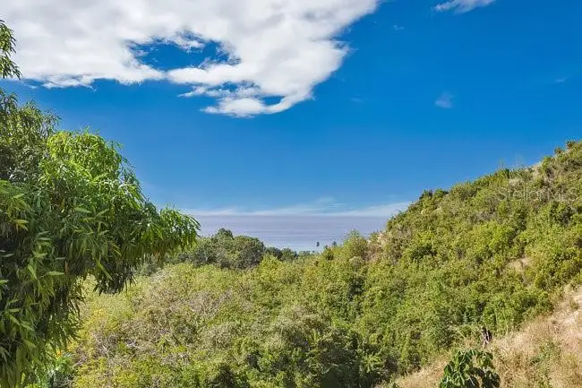 ENSENADA LA JOYA- TRES PALMAS TROPICAL ESTATES — photo 2