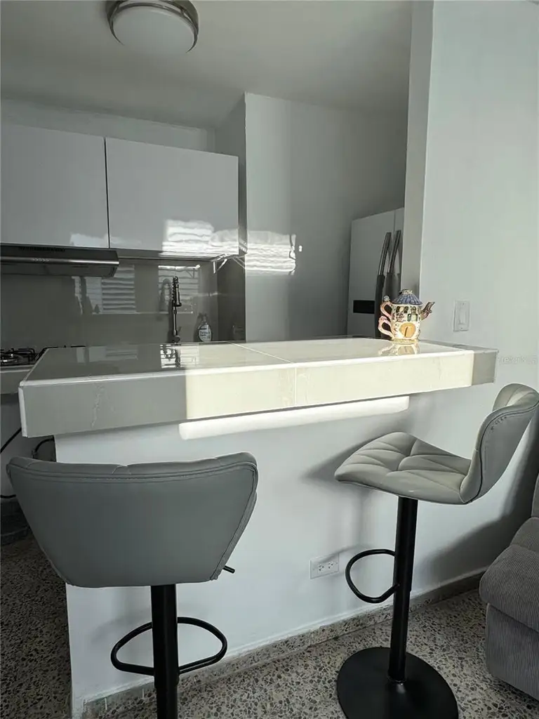 530 B/Q 196 -22 Apt 3 VILLA CAROLINA — photo 5