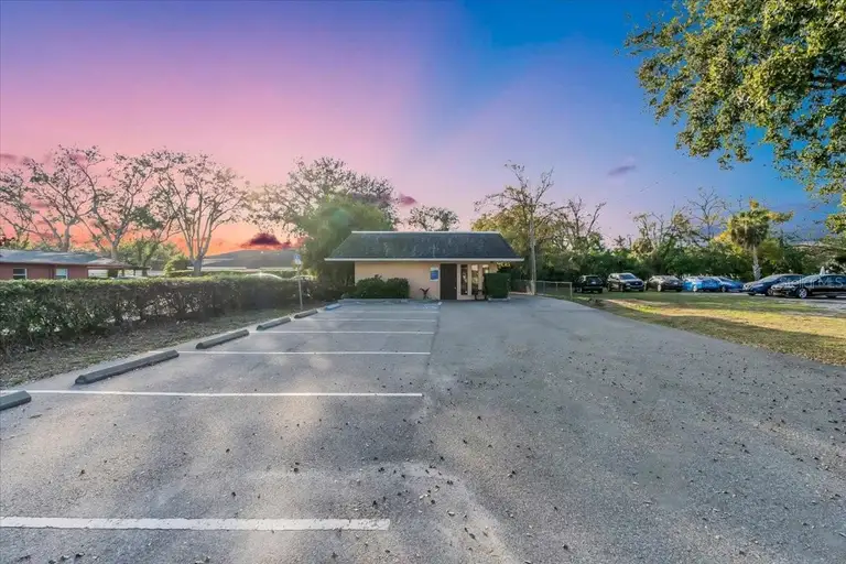 4814 N HABANA AVE — photo 3