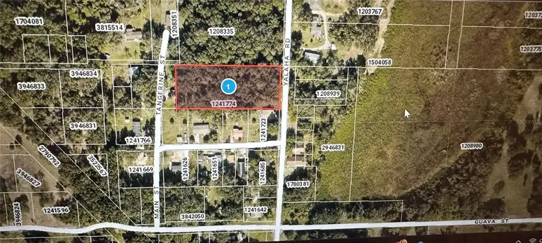 TBD YALAHA RD — photo 2