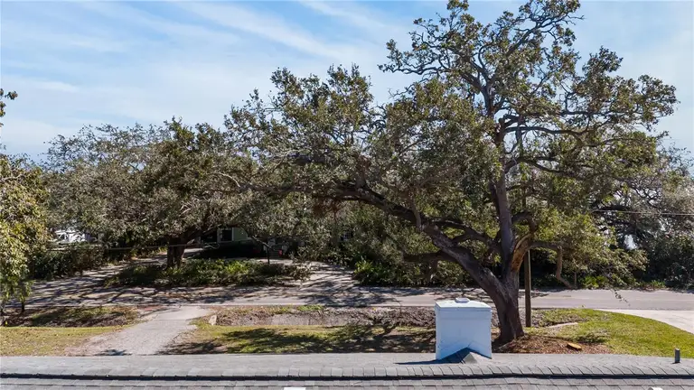 6225 BAYSHORE BLVD — photo 4