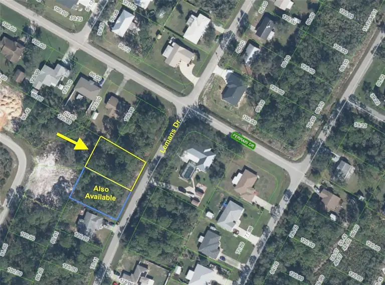 509 LEMANS DR