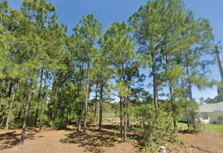 651 LYNN DR