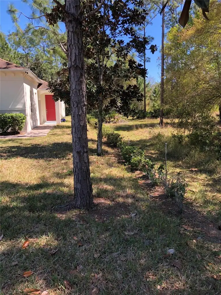 2301 AVELLINO AVE — photo 2