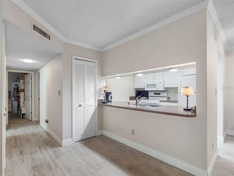 10182 SEMINOLE ISLAND DR — photo 3
