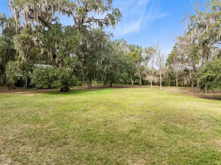 1545 PALM WAY — photo 5