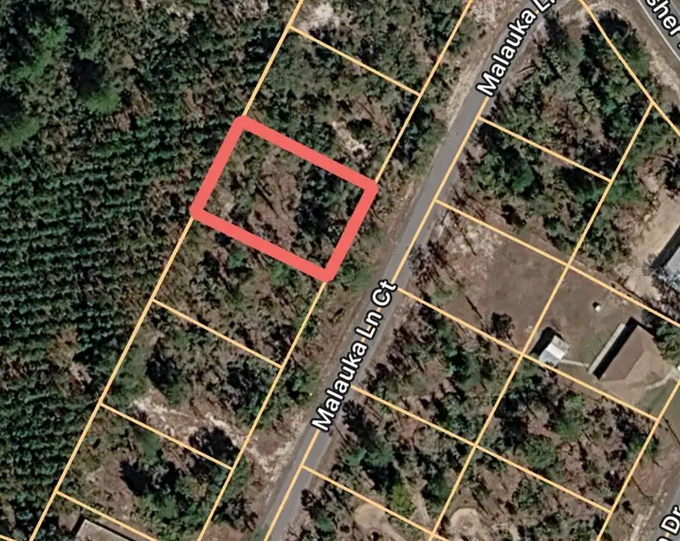 MALAUKA LANE CT