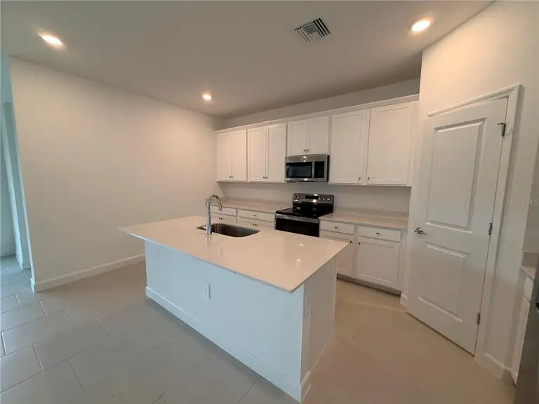 3917 PASSION VINE DR — photo 3