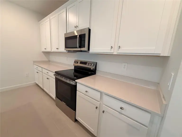 3917 PASSION VINE DR — photo 5