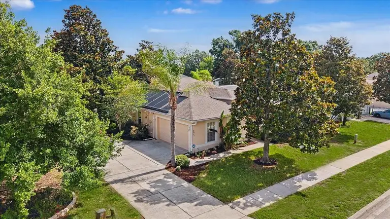 2543 PALMETTO RIDGE CIR — photo 5