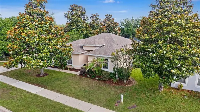 2543 PALMETTO RIDGE CIR — photo 4