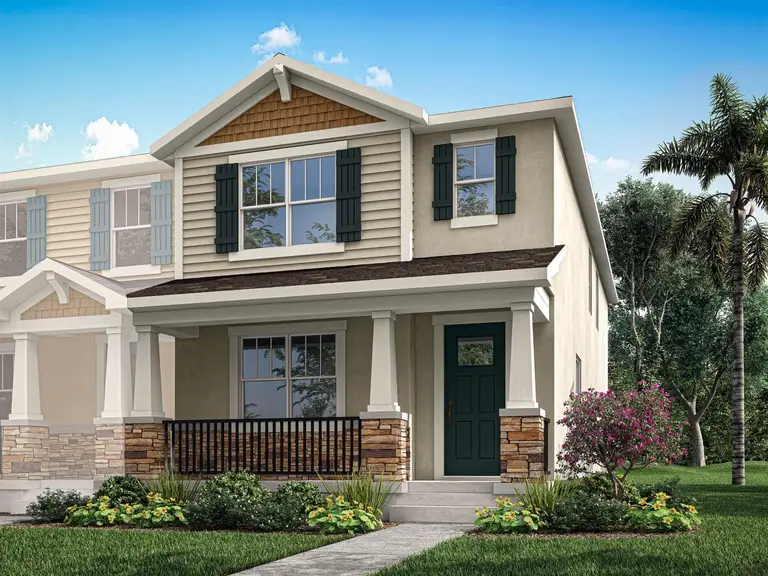 221 SPINDLE PALM CV