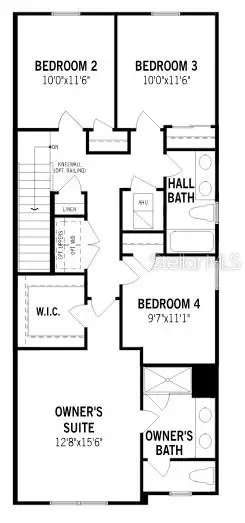 221 SPINDLE PALM CV — photo 3