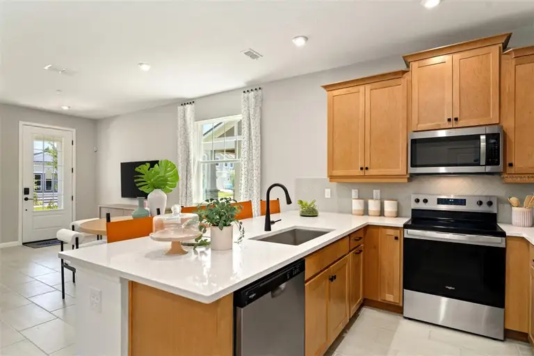 221 SPINDLE PALM CV — photo 4