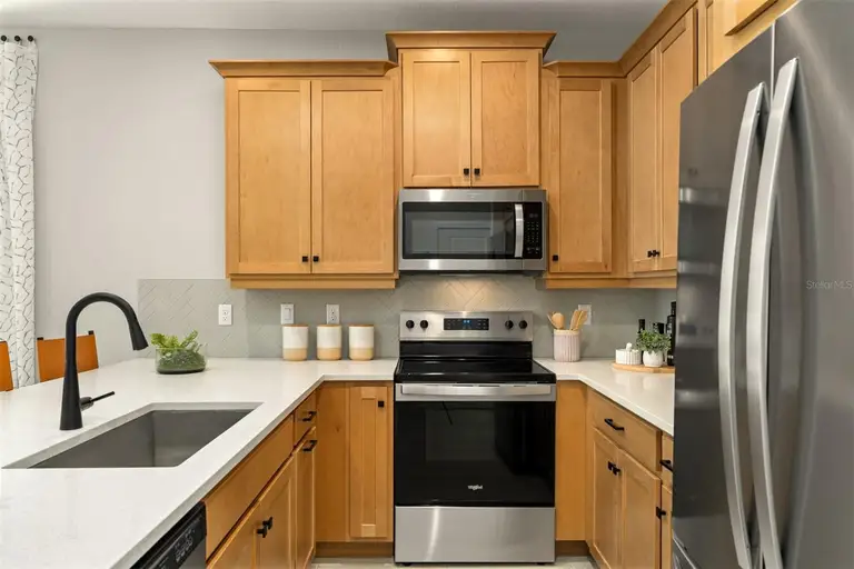 221 SPINDLE PALM CV — photo 5