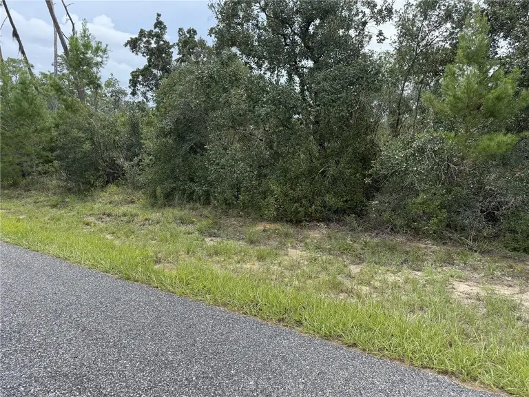 4282 W THRUSH DR — photo 2