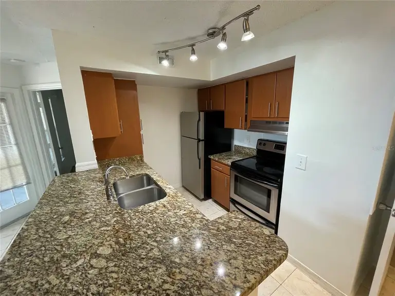 409 FOUNTAINHEAD CIR #234 — photo 3