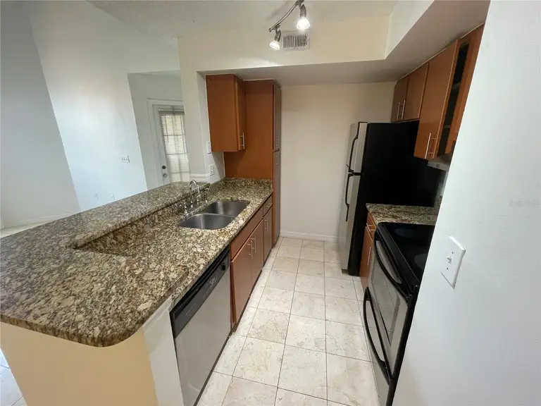 409 FOUNTAINHEAD CIR #234 — photo 4