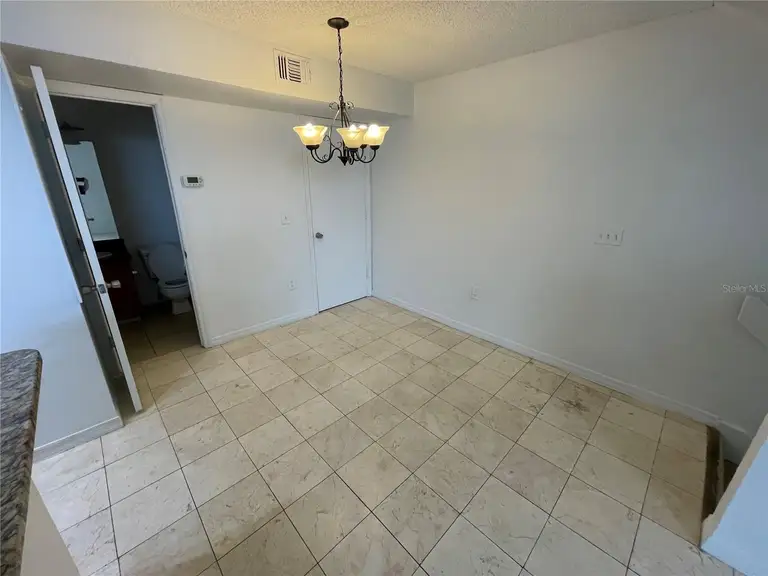 409 FOUNTAINHEAD CIR #234 — photo 5